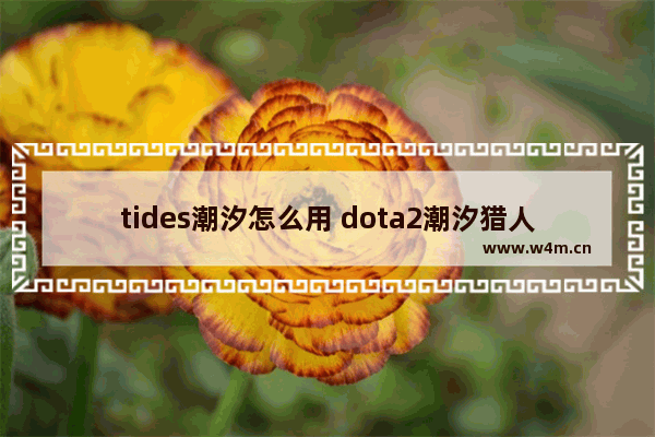 tides潮汐怎么用 dota2潮汐猎人纯正饰品有哪些