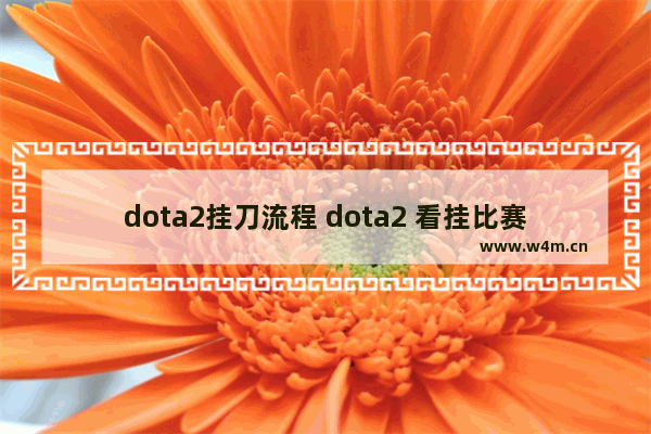 dota2挂刀流程 dota2 看挂比赛