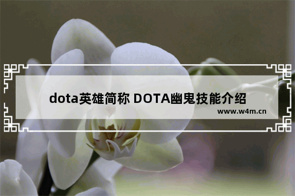 dota英雄简称 DOTA幽鬼技能介绍