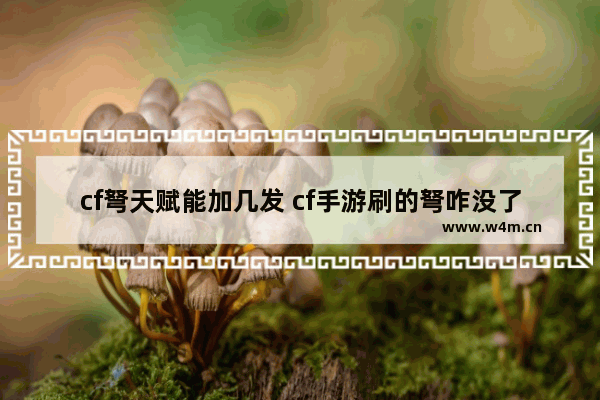 cf弩天赋能加几发 cf手游刷的弩咋没了