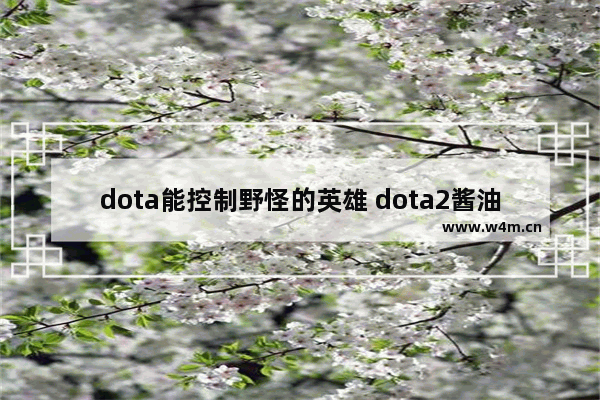 dota能控制野怪的英雄 dota2酱油辅助怎么玩