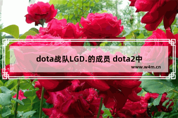 dota战队LGD.的成员 dota2中单风行