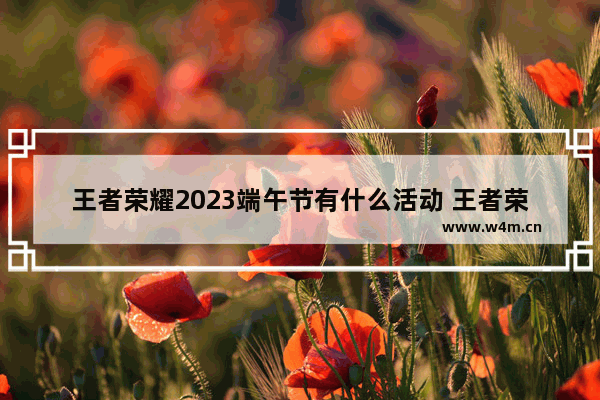 王者荣耀2023端午节有什么活动 王者荣耀粽子