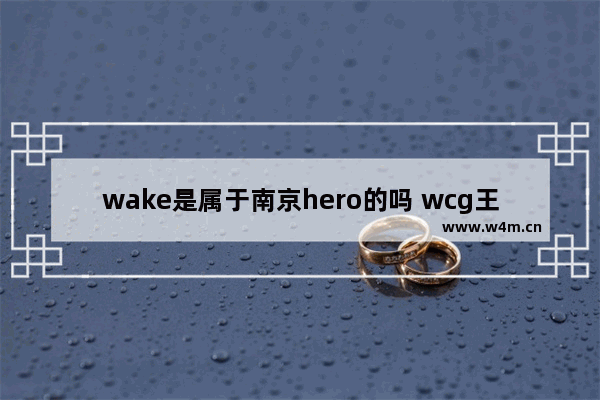 wake是属于南京hero的吗 wcg王者荣耀