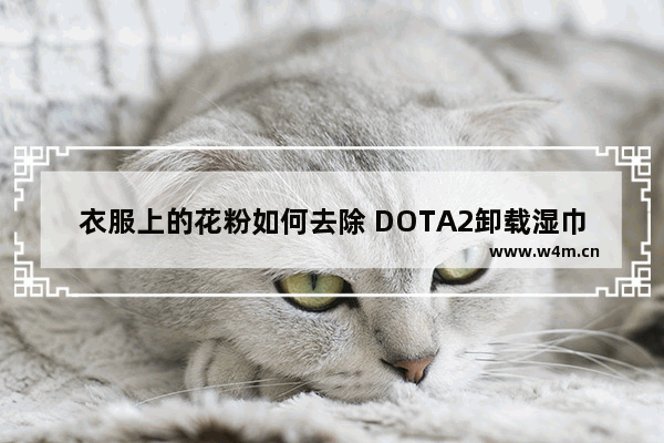 衣服上的花粉如何去除 DOTA2卸载湿巾