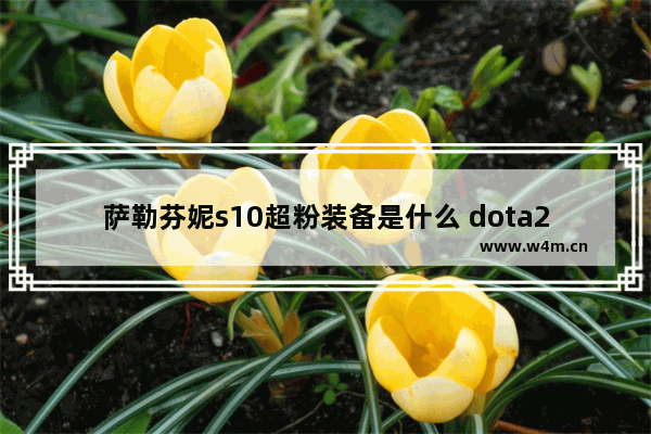 萨勒芬妮s10超粉装备是什么 dota2 羊刀耳机