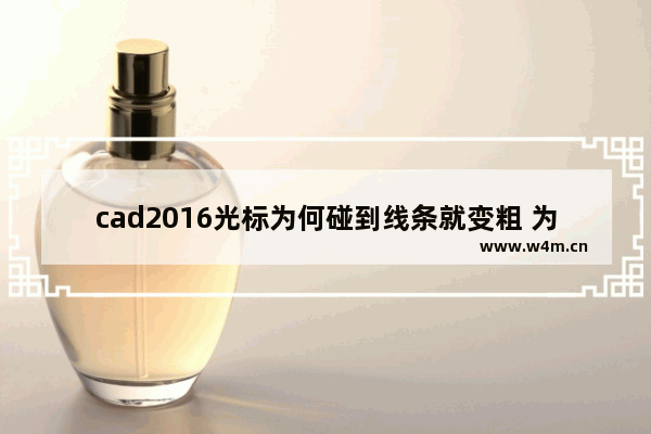 cad2016光标为何碰到线条就变粗 为什么编程时括号显示红色