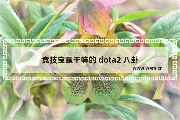 竞技宝是干嘛的 dota2 八卦