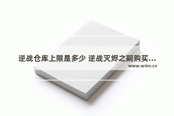 逆战仓库上限是多少 逆战灭烬之嗣购买之后仓库怎么没有