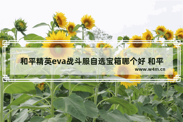 和平精英eva战斗服自选宝箱哪个好 和平精英自选包箱