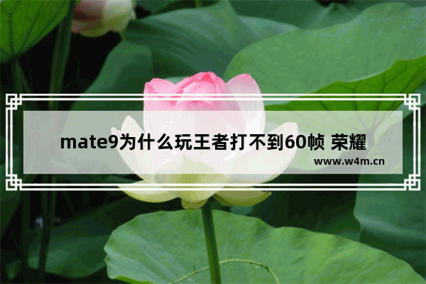 mate9为什么玩王者打不到60帧 荣耀9王者荣耀60贞