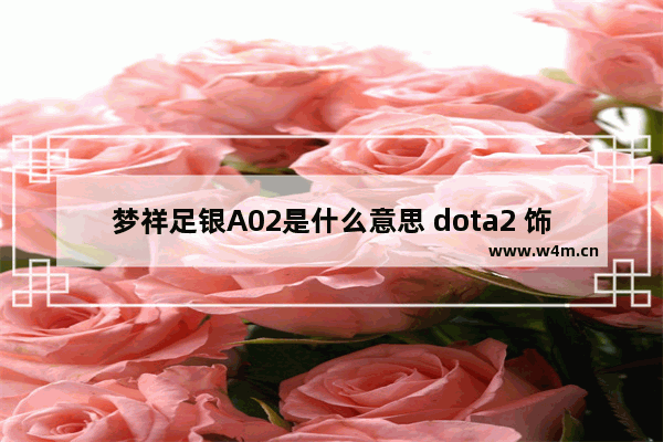 梦祥足银A02是什么意思 dota2 饰品 辨识度