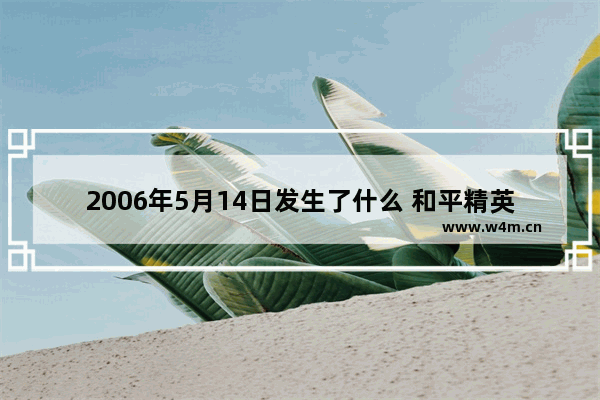 2006年5月14日发生了什么 和平精英 刘某