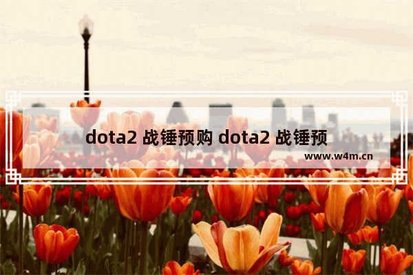 dota2 战锤预购 dota2 战锤预购