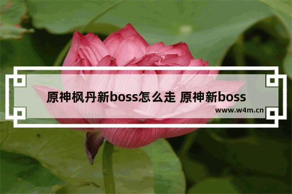 原神枫丹新boss怎么走 原神新boss怎么出去