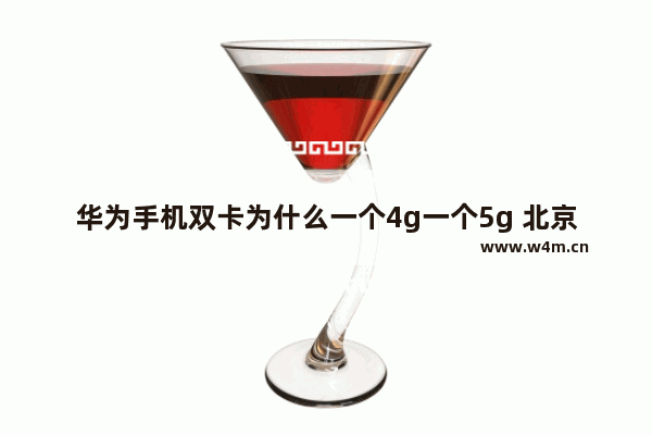 华为手机双卡为什么一个4g一个5g 北京理工大学毕业能去华为工作吗