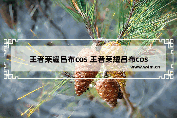 王者荣耀吕布cos 王者荣耀吕布cos