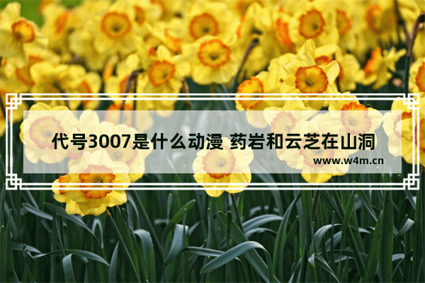 代号3007是什么动漫 药岩和云芝在山洞是哪一集