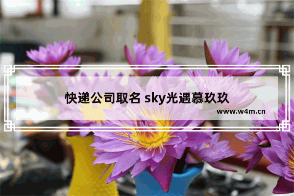 快递公司取名 sky光遇慕玖玖