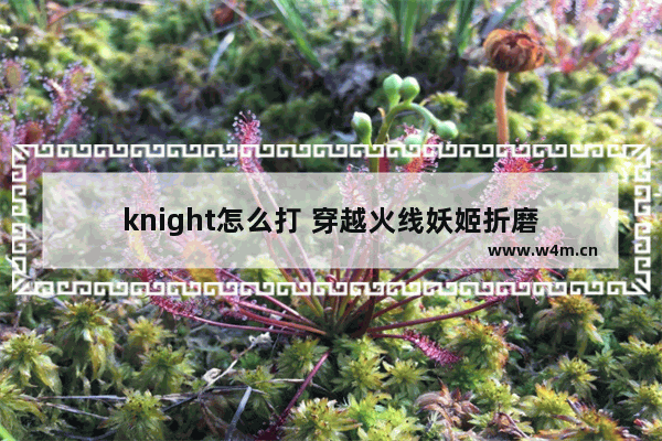 knight怎么打 穿越火线妖姬折磨