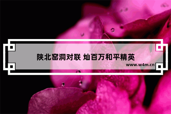 陕北窑洞对联 灿百万和平精英