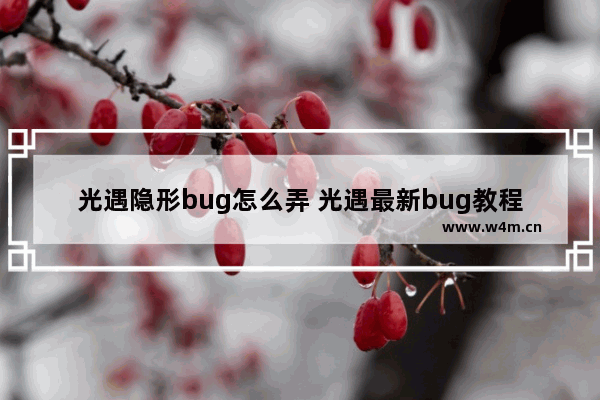 光遇隐形bug怎么弄 光遇最新bug教程