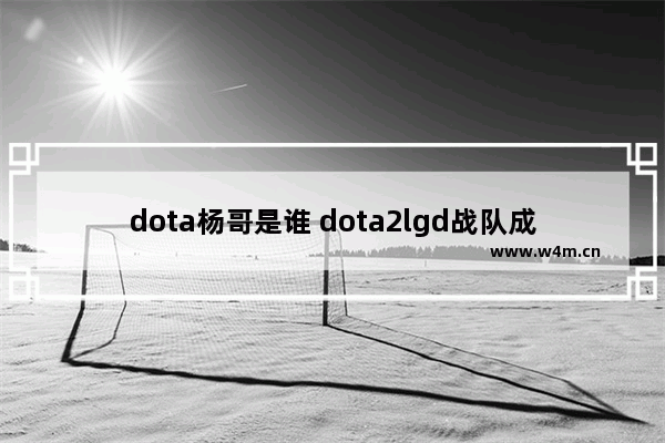 dota杨哥是谁 dota2lgd战队成员国籍