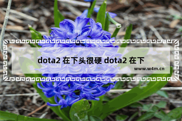 dota2 在下头很硬 dota2 在下头很硬