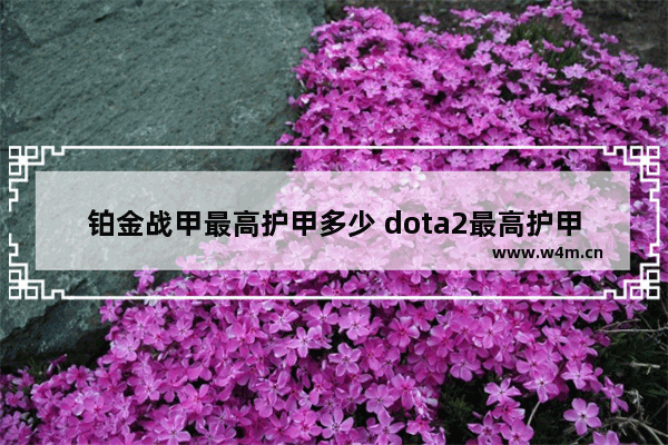 铂金战甲最高护甲多少 dota2最高护甲