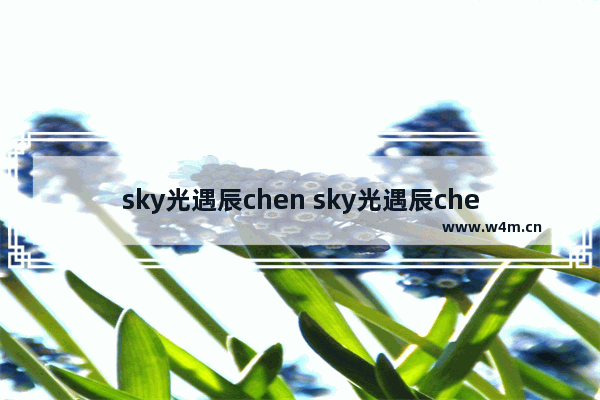 sky光遇辰chen sky光遇辰chen