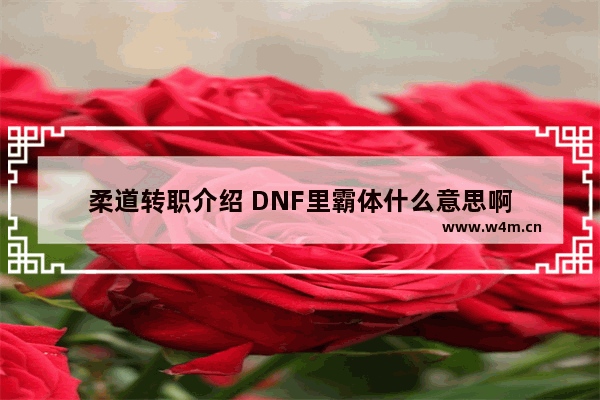 柔道转职介绍 DNF里霸体什么意思啊