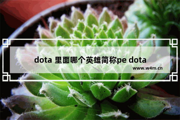 dota 里面哪个英雄简称pe dota1所有英雄名字及技能介绍