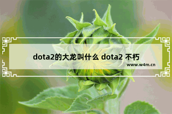 dota2的大龙叫什么 dota2 不朽的守护