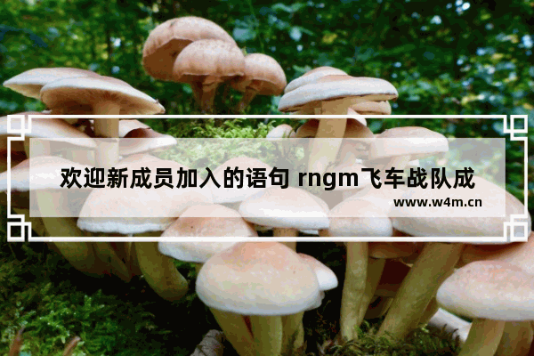 欢迎新成员加入的语句 rngm飞车战队成员