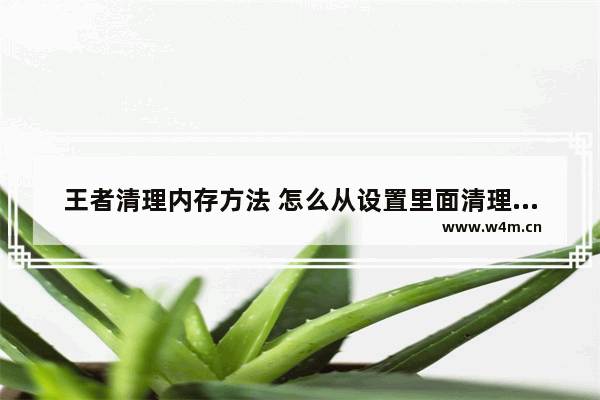 王者清理内存方法 怎么从设置里面清理王者内存