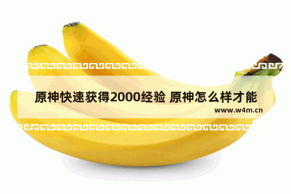 原神快速获得2000经验 原神怎么样才能获得2000原石