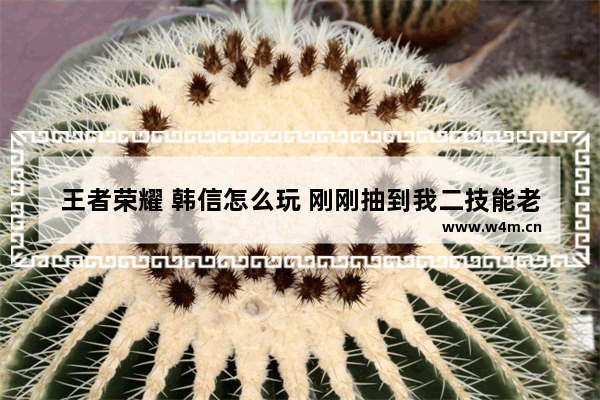 王者荣耀 韩信怎么玩 刚刚抽到我二技能老是放不好。经常冲进敌人堆里 穿越火线乱放技能