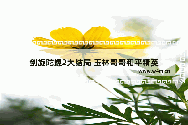 剑旋陀螺2大结局 玉林哥哥和平精英