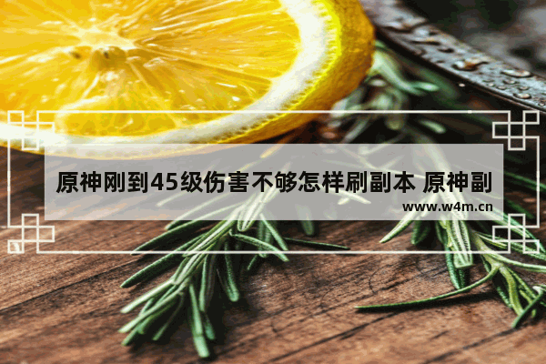 原神刚到45级伤害不够怎样刷副本 原神副本攻略5