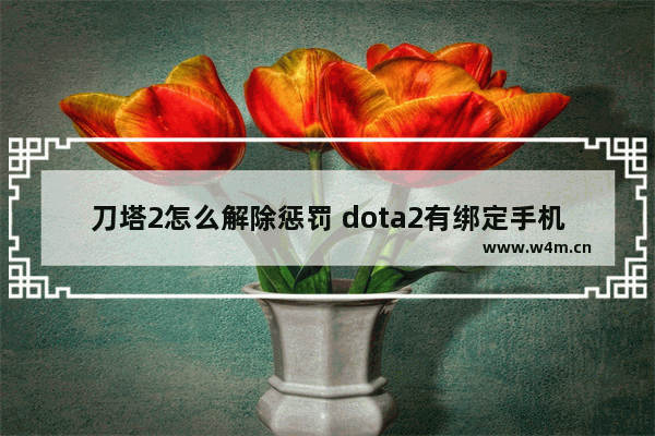 刀塔2怎么解除惩罚 dota2有绑定手机号却说我没绑定