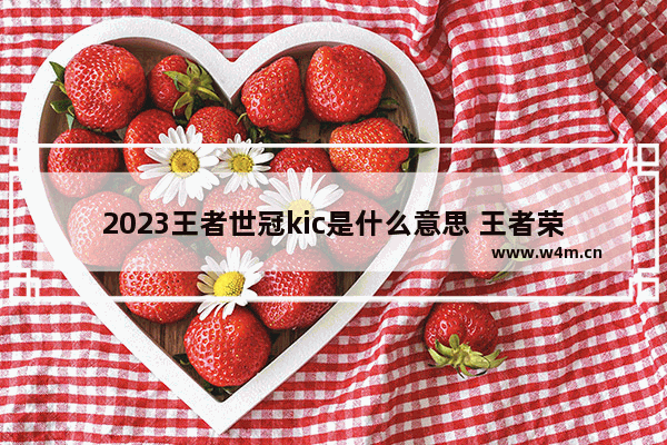 2023王者世冠kic是什么意思 王者荣耀各个位置英文名字简称