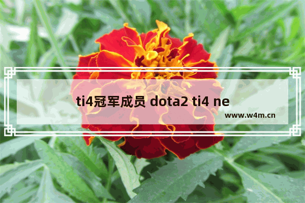 ti4冠军成员 dota2 ti4 newbee