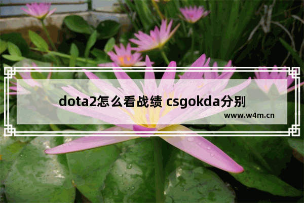 dota2怎么看战绩 csgokda分别是啥意思