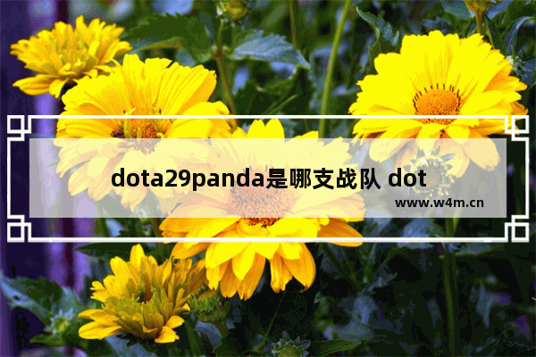 dota29panda是哪支战队 dota2 5月29更新