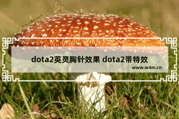 dota2英灵胸针效果 dota2带特效的饰品