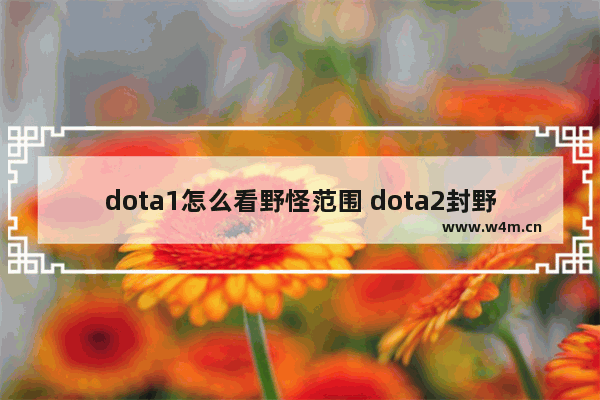 dota1怎么看野怪范围 dota2封野范围显示