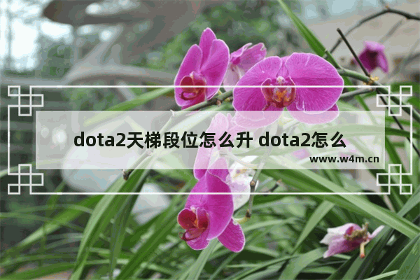 dota2天梯段位怎么升 dota2怎么提升战斗等级