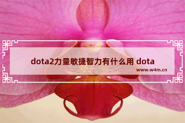 dota2力量敏捷智力有什么用 dota2属性介绍