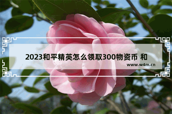 2023和平精英怎么领取300物资币 和平精英三级物资是什么