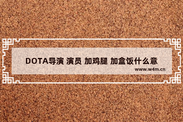 DOTA导演 演员 加鸡腿 加盒饭什么意思 dota2海涛优酷空间